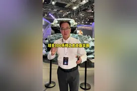 坦克300虎克版和普通版有哪些区别，看完你就知道了！ #2025上海车展看坦克 #长城汽车六大品牌闪耀上海车展 #坦克创领越野新格局 #坦克300