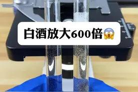 白酒+啤酒，为什么更容易醉？#微观世界 #显微镜 #白酒#啤酒视频封面