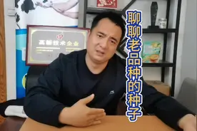 网友艾特我们讲讲所谓的老品种，今天我们来聊聊#老品种 #农产品视频封面