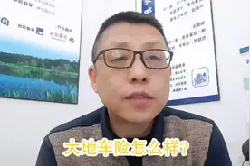 中央资本的6家保险公司之《大地车险》视频封面