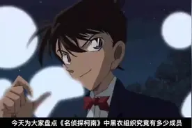 盘点《名侦探柯南》黑衣人名单（1）图片