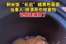 6月25日，山东聊城。剩米饭“长出”橘黄色霉菌，当事人:很漂亮也很害怕，已经连锅扔了。小编温馨提示:请勿食用发霉食物。