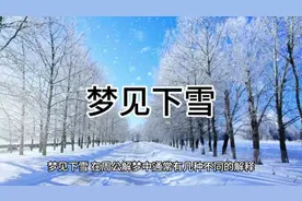 梦见下雪#你的梦境在暗示什么 #梦境解析 #周公解梦 #下雪了