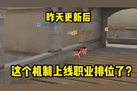 现在正式服职业排位已经加入这个机制了，有点意思#cf手游