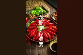 #小龙虾储存温度#小龙虾剪头去胃囊处理细节#小龙虾储存仔细#小龙虾如何保存0死亡率#小龙虾开背细节