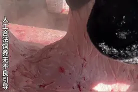 驼肉馅饼不仅美味可口，还有着悠久的历史，它承载了草原人的历史文化和传统