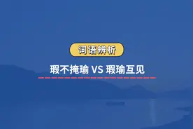【词语辨析】瑕不掩瑜 VS 瑕瑜互见#成语积累 #考公 #公务员考试视频封面
