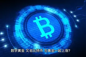 数字黄金，又名比特币，与黄金一起上涨？#全球看点视频封面