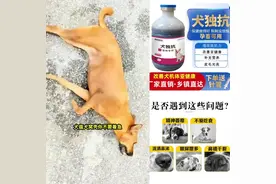 犬独抗牛磺酸狗狗犬宠物养殖场舍专用添加剂饮水灌服拌食增免提抗视频封面
