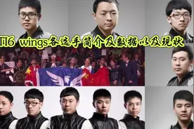 Ti6  wings各选手的数据以及现状 奇迹般的wings！选手shadow视频封面