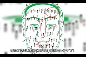 福痣之眉毛有痣#痣的含义 #痣的秘密 #识人术 #国学文化 #面相视频封面