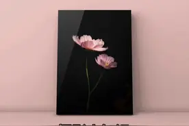 华为手机摄影：巧用快门速度拍摄纯黑背景的唯美花朵！高级感满满！#摄影#手机摄影#拍照📸 #拍摄技巧 #摄影技巧