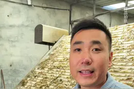 盐田虾的等级划分你知道吗？峰旭一个视频给您讲解明白！#烤虾 #海鲜干货 #美食
