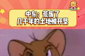 中国人一出手，没有一片地是不能丰收的（cr@⑨沙特华哥  ）   #沙特阿拉伯#也门#种地#石油