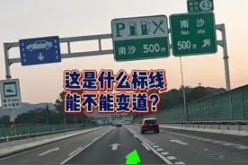 走高速这是什么标线？能不能变道？很多新手朋友竟不知道 #驾驶技巧 #高速行车安全视频封面
