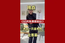 怎么快速让狗狗听得懂人话？ #挑战60天免费帮粉丝养出一只乖狗狗 #比熊 #新手养狗