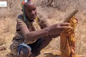 走进非洲系列视频（3) 原始部落生吃羊肚，感受不一样的人文！视频封面