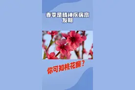 桃花癫，也叫桃花病、桃花疯，又名“钟情妄想”精神分裂症，民间素有“三月桃花癫”的说法。#科普视频仅供参考