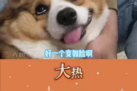 谁说这社团活动不好啊，这社团活动太好了#真实故事 #大学生精神状态 #香港 #整活视频封面