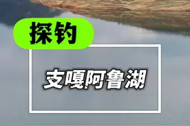 #滑漂钓鱼  #滑漂远投 这一站我们来到支嘎阿鲁湖，这位置好车到水边，烧烤露营钓鱼好地方，点赞收藏啊 #戴翁天刺滑漂竿 #钓鱼的乐趣只有钓鱼人懂 #丝纯谷麦专用线@老戴定制钓具商品中心视频封面