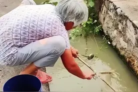 老奶奶使用传统捕鱼方式 竟然捕到这么多小鱼小虾米😎#钓鱼人就是这么疯狂 #奇闻趣事 #原来钓鱼才是抖音运动顶流 #户外捕鱼 #抓鱼视频封面