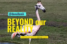 生成式AI这样搞，人人都是大导演视频封面