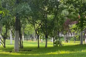 哈登超神 76人1比0绿军视频封面