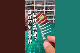 又买了个奇怪的乐高零件，你知道是用来拼什么的吗？ #乐高