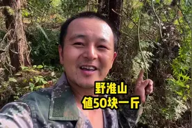 今天户外找野生淮山，50块一棵就几斤，真的比#收废品 赚多了视频封面