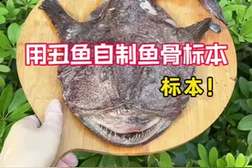 自制鱼骨标本#测评