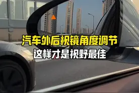 你的后视镜调节正确了吗#每天一个用车知识