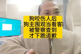 狗咬人后，狗主人当看客，被发现后下跪道歉。视频封面