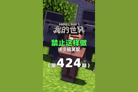 我的世界《禁止这样做424》搞笑配音：小不点告诉我们什么不能 #我的世界 #搞笑 #沙雕 #ACG配音