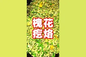 又到了春天吃槐花的季节，你的家乡槐花喜欢怎么吃？ 四月槐花香，春天的槐花是我最喜欢的，今天用它做个林州特色美食，槐花疙捞！#农村美食#我的乡村生活 #快来一起尝个鲜 #槐花仡佬视频封面