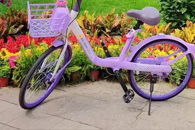 清华大学超详细参观攻略（2025最新版）  一、预约方式与开放时间 1. 个人预约      渠道：通过“清华大学”微信公众号→“参观清华”菜单进入小程序，实名预约。      名额：每日分4个时段（上午8:00-9:30、9:30-11:00；下午13:00-14:30、14:30-16:00），需提前7天抢票（工作日）或当天8点抢票（节假日）。      规则：10岁以上可独立预约，16岁以上可为同行2人代约；爽约1次则7天内无法再约。   2. 团队预约       对象：仅限中小学或教育主管部门，需通过“清华大学保卫部”网站预约，统一从东侧门入校。   3.艺术博物馆：购票后可入校（成人50元），但需注意博物馆与校园分属不同入口。   4. 开放时间      常规：双休日、法定节假日及寒暑假（周一闭校）。      寒暑假：每日8:00-11:00、13:00-16:00开放。    二、推荐游览路线 1. 经典四小时路线（西门进，东南门出）      亮点：覆盖标志性建筑与历史景观。       路线：西门→近春园→水木清华→清华学堂→二校门→日晷→大礼堂→图书馆→主楼→艺术博物馆。   2. 两小时精简路线      路线：西门→二校门→清华学堂→大礼堂→日晷→水木清华→西门。      适合人群：时间紧张的游客，快速感受清华核心景观。  3. 红色主题路线      路线：三院遗址→自清亭→闻一多雕像→西南联大纪念碑→烈士纪念碑。   4. 深度文化路线（需志愿者讲解）      时间：每日10:00、14:00从日晷出发，全程约1小时。需提前关注志愿讲解时间表。     四、注意事项 1. 证件与安检      - 务必携带身份证，刷证从指定通道入校，禁止携带大件行李。   2. 交通建议      - 地铁4号线圆明园站C口出，步行至西门；校内推荐共享单车（部分区域禁骑）。   3. 餐饮与设施   万人食堂三楼可刷码用餐，东南门出口处有五道口商圈（美食集中）。    五、实用工具与资源 线上地图：下载“畅游清华”地图（官网提供），标注景点与路线。   云游清华：通过“漫游清华园”微网站（http://iwh.tsinghua.edu.cn）了解红色建筑与历史。   #清华大学 #名校#清华大学参观攻略#高校打卡#清华大学预约参观视频封面