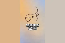 鹦鹉断奶怎么断 鹦鹉实操断奶，循序渐进！牡丹鹦鹉断奶，小太阳鹦鹉断奶，和尚鹦鹉断奶，同理！#鹦鹉 #手养鸟日常 #训鸟高手 #鹦鹉小白 #手养鹦鹉