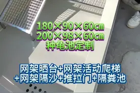 网架晒台+网架活动爬梯 +网架隔沙+推拉门+隔粪池 #龟缸 #种龟池 #养龟日常 #龟宠时代