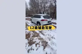 L2级辅助驾驶系统都有哪些功能 #卡罗拉锐放 #锋兰达 #我与汽车的日常 #带你懂车 #汽车知识分享视频封面