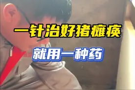 一针治好猪瘫痪 就用一种药#养猪人加油干 #所有养猪人 #猪病防控 #养猪技术 #猪病