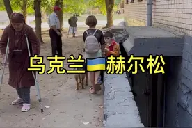 战争下毛毛孩子和平民 战争下乌克兰的东部地区流浪狗流浪猫开始变多，大家没有因为战争去嫌弃这些毛毛孩子，更多的是相互的陪伴相互的依靠，而且这边的流浪狗和猫都不怕人的。 #乌克兰 #俄乌冲突视频封面