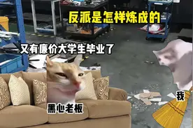 主角:你感觉不到世界的美好吗#猫meme