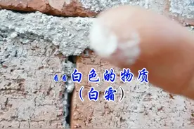 #创作者中心 #创作灵感 冬季水泥楼面养护时，应避免大量浇水，而是要采取少量多次的洒水方式。每次洒水量以能保持楼面湿润但不产生积水为宜，比如可以使用喷壶进行均匀喷洒，分多次在不同时段进行洒水操作，确保楼面缓慢吸收水分，而不是一次性让大量水流淌到红砖墙体上。这是因为水泥楼面含有碱性物质，大量浇水会使含碱水流到红砖墙体，渗入红砖内部，与红砖本身含有的碱性矿物质共同作用，在湿度适宜的情况下，加速红砖反碱现象的出现。通过控制洒水量和浇水方式，能够有效减少碱性物质对红砖的侵蚀，降低反碱发生的概率#红砖