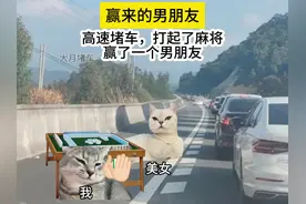 『大月堵车』第一集 #猫猫meme#女生必看视频封面