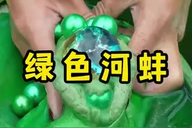 替粉丝捡到的绿色河蚌里，竟然有彩色宝珠#三农 #双11在抖音商城买什么视频封面