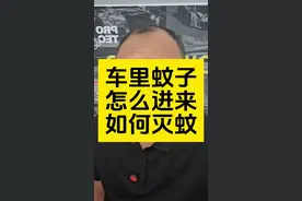 #每天一个用车知识 #汽车知识 #车内蚊子 #灭蚊 #灭蚊虫小妙招视频封面