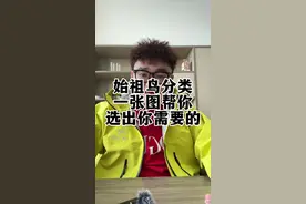 一个图片带你看懂始祖鸟视频封面