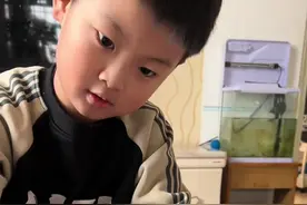 厌食蛙 换过好几种餐食了，它还是啥也不吃…#内容启发搜索 #vlog日常 #当人类幼崽遇到小动物视频封面