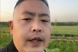 一个家庭到底是男人撑起的还是女人撑起的#接受自己的普通不代表一生平庸视频封面