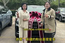 #星越l 长风版 墨玉黑卖爆的一个颜色[玫瑰]视频封面