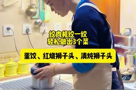 万能的基础肉馅，学会以后就能轻松做出、炸丸子、糖醋丸子、红烧狮子头，清炖狮子头、炸藕盒、炸茄盒、炸土豆盒………#柴米油盐烟火气 #生活vlog #抖音美食创作者视频封面